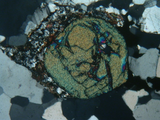 A view of a rock under of a polarized light microscope, using crossed polars.most of the crystals in the rock appear black and white, or grey, but in the centre of the view, a large rounded crystal is greenish yellow in colour.