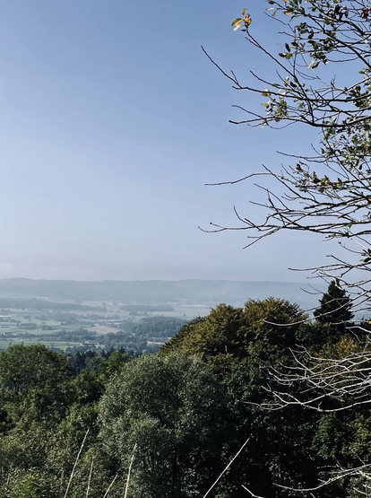 view across the linzgau in the mist