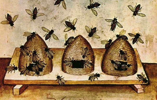 A medieval depiction of a Bee hive