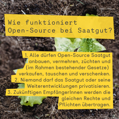 Auf einem Hintergrund mit Feld und jungen Salat Pflanzen sind zwei gelbe Blöcke mit dunkelgrauem Text darauf zu sehen. 
Der obere Text (in Monospaced Font) lautet "Wie funktioniert Open-Source bei Saatgut?", der untere Text hat eine Auflistung von drei Punkten; "1. Alle dürfen Open-Source Saatgut anbauen, vermehren, züchten und (im Rahmen bestehender Gesetze) verkaufen, tauschen und verschenken. 
2. Niemand darf das Saatgut oder seine Weiterentwicklungen privatisieren.
3. Zukünftigen EmpfängerInnen werden die gleichen Rechte und Pflichten übertragen." 
