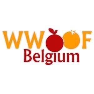 🚜🌻 World Wide Opportunies on Organic Farms (WWOOF)
🌱 Woofing is possible all year round in Belgium. Don't hesitate to contact a host to see if you can still lend a hand with spring/summer/autumn/winter activities 🍂☃️ 
➡️ https://www.WWOOF.be

#WWOOF #Belgium #wwoofing #wwoofBelgium #wwoofingBelgium