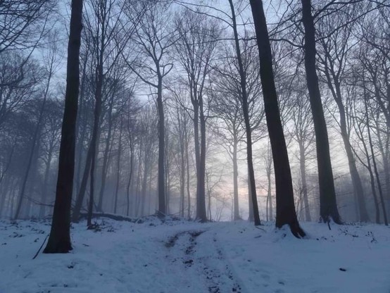 🚜🌻 World Wide Opportunies on Organic Farms (WWOOF)
🌱 Woofing is possible all year round in Belgium. Don't hesitate to contact a host to see if you can still lend a hand with spring/summer/autumn/winter activities 🍂☃️ 
➡️ https://www.WWOOF.be

#WWOOF #Belgium #wwoofing #wwoofBelgium #wwoofingBelgium