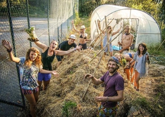 🚜🌻 World Wide Opportunies on Organic Farms (WWOOF)
🌱 Woofing is possible all year round in Belgium. Don't hesitate to contact a host to see if you can still lend a hand with spring/summer/autumn/winter activities 🍂☃️ 
➡️ https://www.WWOOF.be

#WWOOF #Belgium #wwoofing #wwoofBelgium #wwoofingBelgium