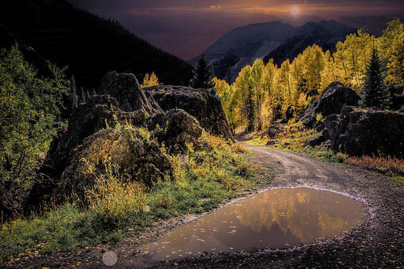 Found down an unassuming Colorado gravel road in the Uncompahgre National Forest, buy here:

https://pixels.com/featured/uncompahgre-national-forest-norma-brandsberg.html