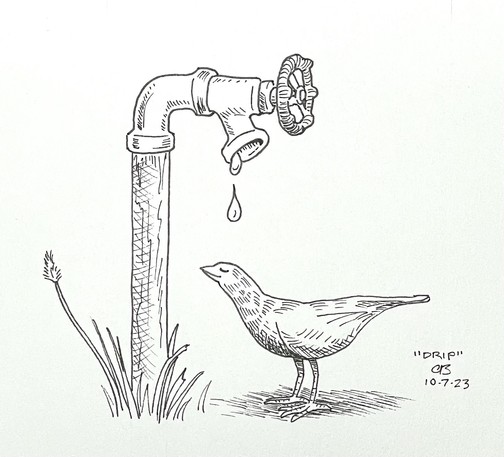 Ink drawing showing a yard water spigot, with a couple of drops of water dripping from the spout. A small bird stands expectantly with its head below the spout, looking forward to a nice bath. 