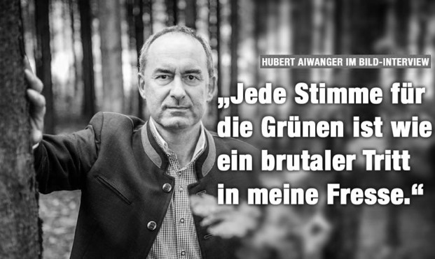 #Fake BILD-Kachel von Nietzsche: Hubert Aiwanger lehnt im Wald mit der Hand an einem Baum. 

Dazu zwei Schlagzeilen: "Hubert Aiwanger im BILD-Interview" + "Jede Stimme für die Grünen ist wie ein brutaler Tritt in meine Fresse"