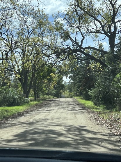 A view of the country road to our bffs; trees arch over it, still mostly green. 