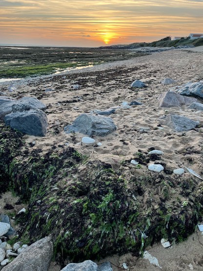 Sunset on the Oleron island. White stones, sand and the algae on the beach as the ocean is very low. The sky is orange and yellow and red. 