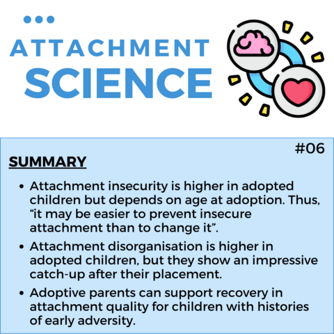 Summary of findings