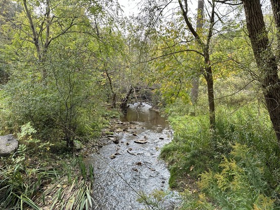Sulphur Creek