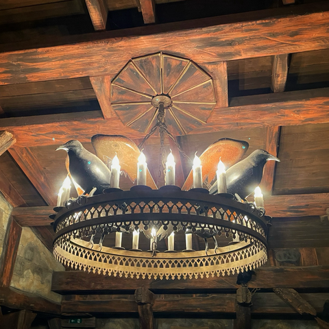 Photo of crows on a light fixture hanging from the roller coaster station roof.