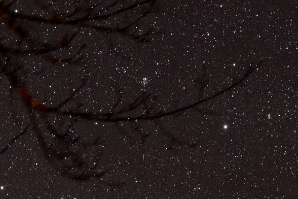 A little cluster of stars resembling an owl, appearing to perch on a branch in the foreground, against a starry sky.