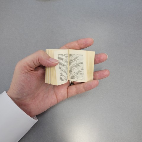 Hand holding a tiny paper dictionary.
