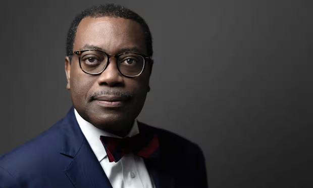 ‘The global financial crisis that brought the world down in 2008, that was not in Africa. We have no Wall Street,’ said the Nigerian former minister. Photograph: Joel Saget/AFP/Getty Images