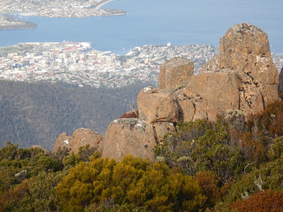 View of Hobart from  kunanyi/Mt Wellington.  Green stunted alpine vegetation (krumholtz) in foreground,, columnar jointed dolerite outcrop in middle ground, hazy white buildings of city in background, with blue of water of bay.