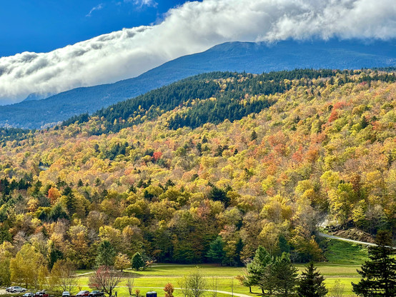 Trees on Mt. Washington in New Hampshire changing colors in Autumn. Dramatic clouds in a blue sky above. 