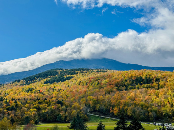 Trees on Mt. Washington in New Hampshire changing colors in Autumn. Dramatic clouds in a blue sky above. 