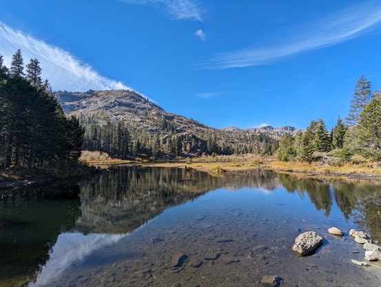 Lily lake