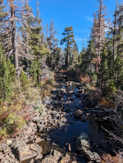 The creek leaving Lily lake