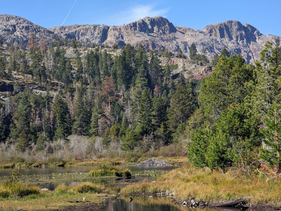 Zoomed in on the beaver Lodge at Lily lake