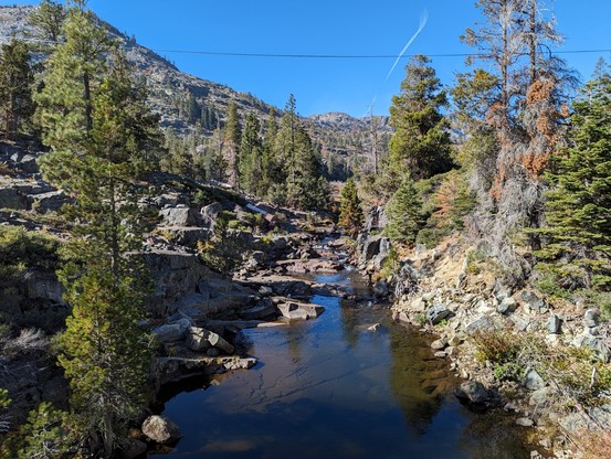 The creek coming out of Lily lake