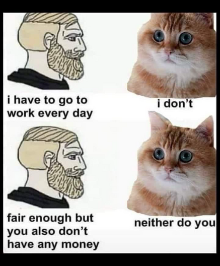 a conversation between a man and a cat.

Man: I have to go to work everyday
Cat: I don't
Man: fair enough but you also don't have any money
Cat: neither do you