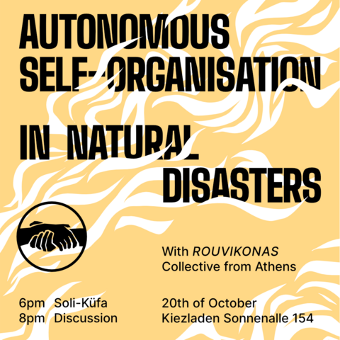 Share Picture: Autonomous sef-organisation in natural disasters