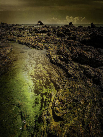Little Corona del Mar tidal pool in golden lighting available here:

https://pixels.com/featured/little-corona-del-mar-tidal-pool-norma-brandsberg.html