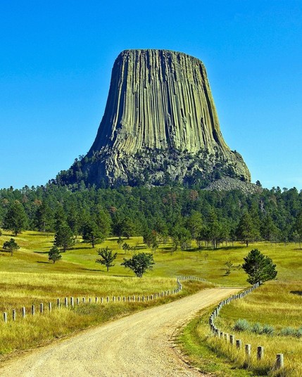 Devil's Tower in Wyoming is famous for its distinctive hexagonal columns, a magnet for climbers and nature lovers.