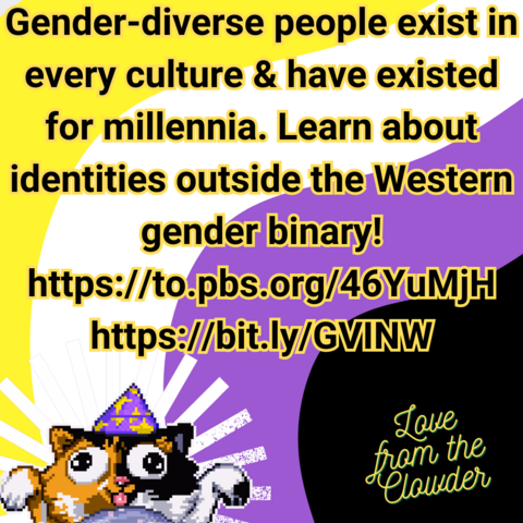 Background is wavy stripes in the nonbinary pride colors. Black text with yellow outline says "Gender-diverse people exist in every culture & have existed for millennia. Learn about identities outside the Western gender binary! https://to.pbs.org/46YuMjH https://bit.ly/GVINW" At the bottom there is the GenderMeowster calico cat logo and the text "Love from the Clowder".
