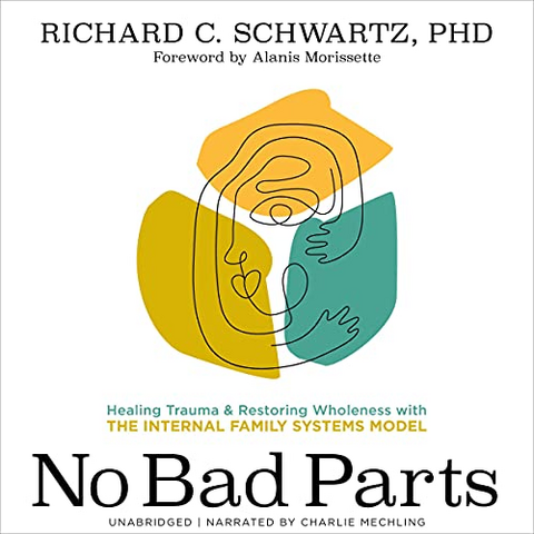 What is No Bad Parts book about?
In No Bad Parts, Richard Schwartz provides a broad overview of Internal Family Systems (IFS)—a therapeutic practice grounded in the idea that each of us is made up of a complex network of different “parts.” He outlines the theory behind its basic principles and how it can help people to live a more fulfilling life.4. sij 2023.

No Bad Parts by Richard Schwartz: Book Overview - Shortform