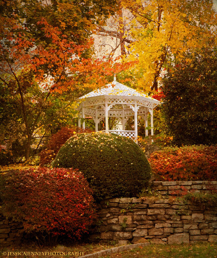 A lovely white garden gazebo surrounded by autumn foliage.
By Jessica Jenney