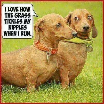 I LOVE HOW THE GRASS TICKLES MY NIPPLES
WHEN I RUN.