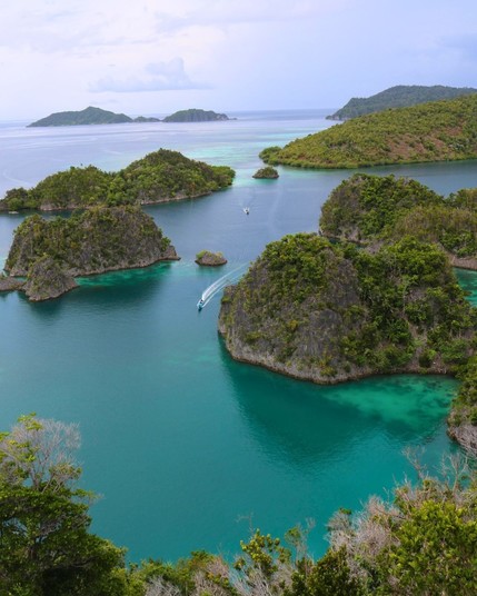 Raja Ampat, an Indonesian archipelago, comprises more than 1,500 small islands, cays, and shoals, making it a paradise for marine biodiversity and natural beauty.