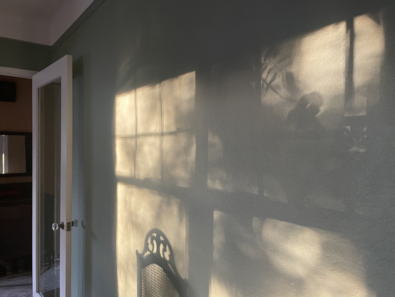 Morning light casting shadow reflections of the window frames, trees and a chair on an indoor wall; swirling and misty light cast in window frame 