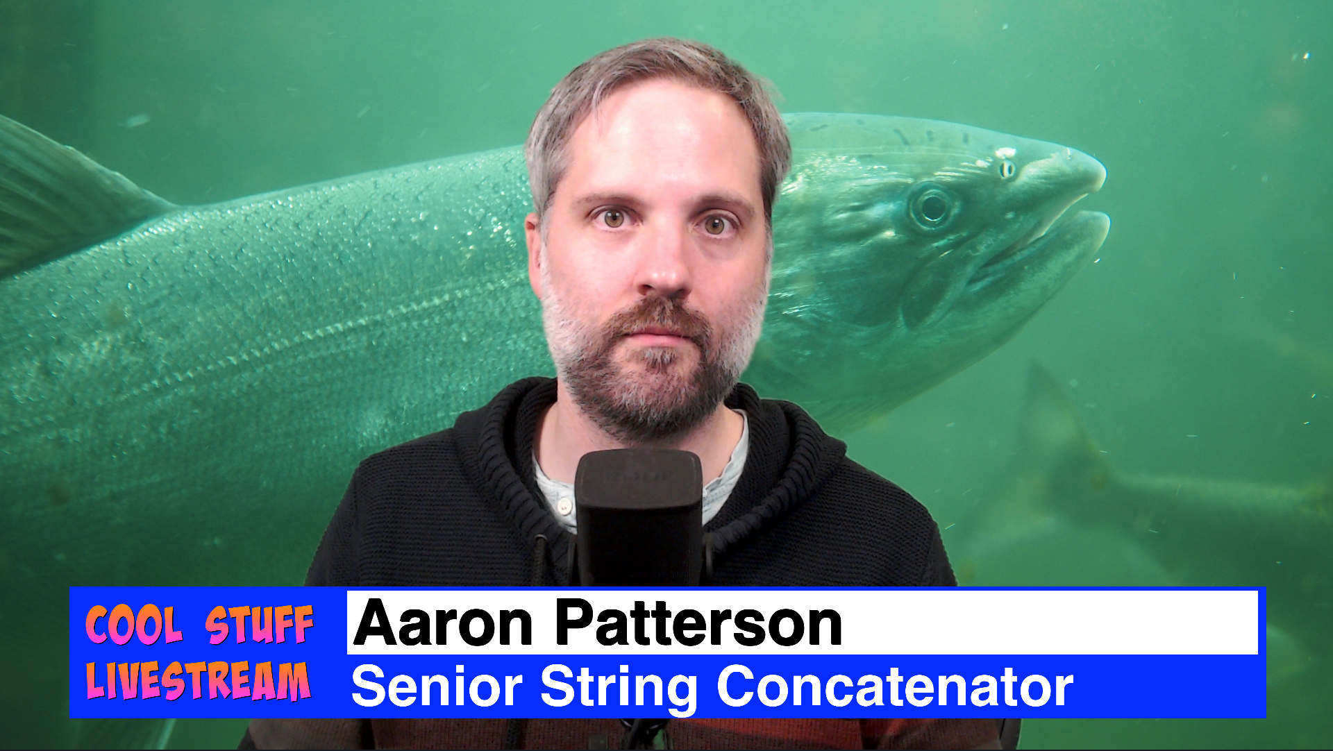 Photo of me in front of a fish with a bottom thirds bar that has my name and says "Senior String Concatenator"