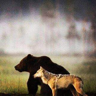 Imagem/foto