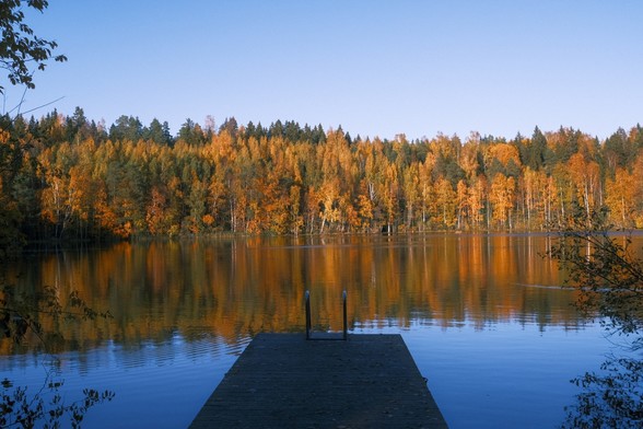At the lake starting at yellow green autmn colors