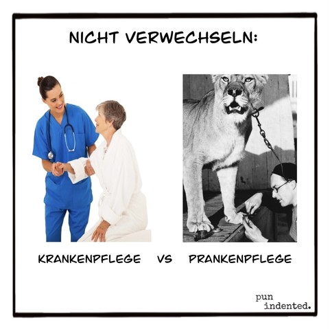 Überschrift: Nicht verwechseln. Ein Foto einer freundlichen Krankenpflegerin mit einer älteren Patientin. Daneben ein Foto eines Tierpflegers, der einem Löwen die Krallen stutzt. Bildunterschrift: Krankenpflege versus Prankenpflege.