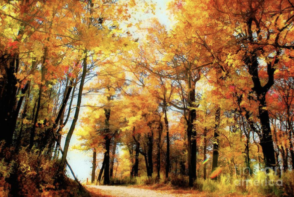 A walk along a sunny country road on a glorious autumn day!  

As seen at the top of Blue Knob Mountain, in Claysburg, PA … between Bedford and Altoona.

My own photographic image … No artificial intelligence

#NotAi

https://lois-bryan.pixels.com/featured/a-golden-day-lois-bryan.html

