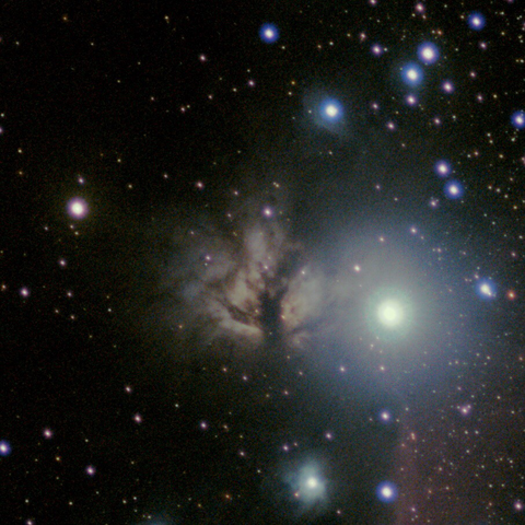 The Flame Nebula, appearing as a pinkish white cloud, with dark veins of dust arranged like a tree trunk. Alnitak, a large bright star is directly to the right, surrounded by pale, but colorful halos. All against a black background with many smaller stars.