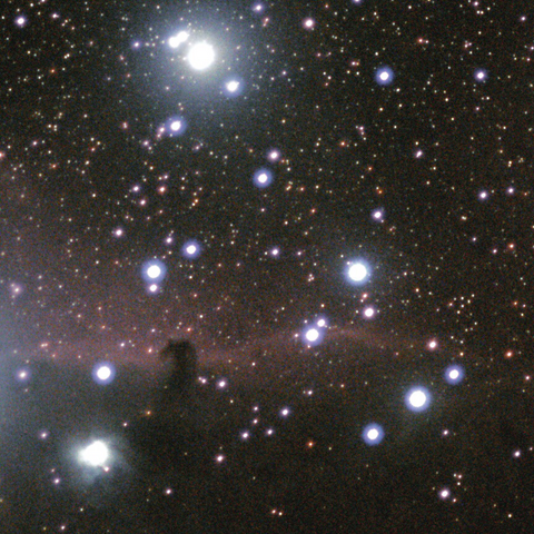 The Horsehead Nebula, appearing as a wide swath of red gasses, with a dark cloud in front, shaped like the head of a horse. Several bright stars scattered nearby. All against a dark background with many smaller stars 