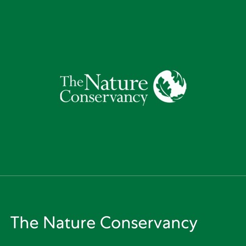 nature conservancy logo of a globe covered in leaves against a green background