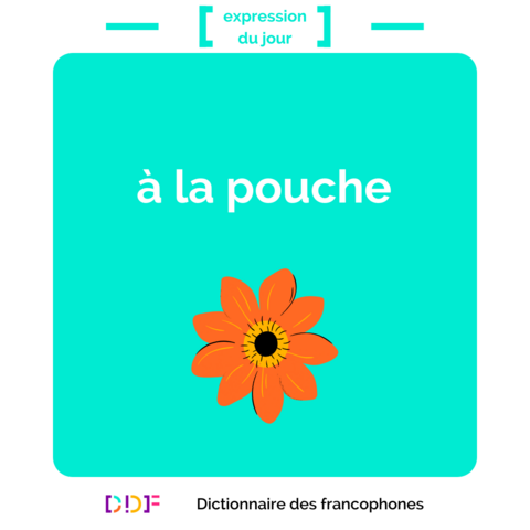 expression du jour 
à la pouche
DDF Dictionnaire des francophones