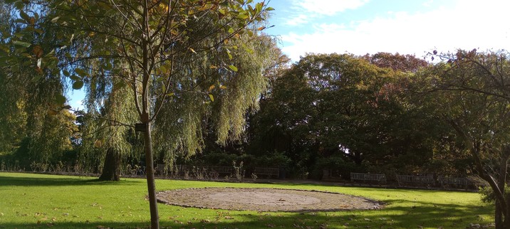 Trees and well kept grass on a sunny day 