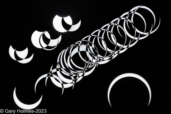 This is a composite of more than 40 separate photos that I took during the 14Oct2023 solar eclipse, using one Canon camera with a telephoto lens. I had moved the camera to follow the sun, but without a tracker to keep it in the same position. When I combined the photos without cropping them, this was the result. I moved the collection in the lower right corner upward, to be able to crop the photo. 