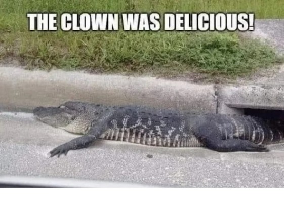 Pelle oli herkullinen sano krokotiili kun pellen söi.