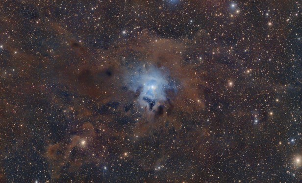 View of a small patch of dark night sky. There are many stars of varying sizes and brightness spread throughout. There are some areas of brown clouds which obscure the stars behind them. At center of image is a bright area of blue nebulosity. At the center of this blue nebulosity is a bright white star.