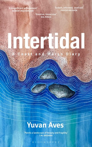 Book cover with artistic rendition of a coastline
