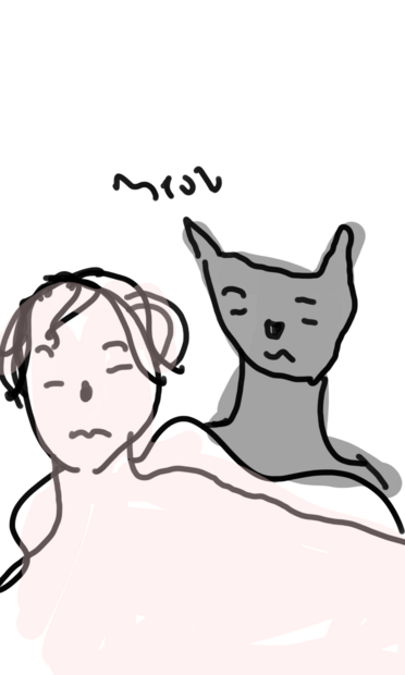 Dog and cat